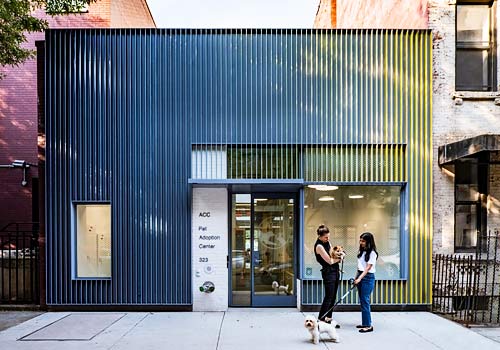 NY Architectural Design Awards Winner - Manhattan Pet Adoption Center by Studio Joseph