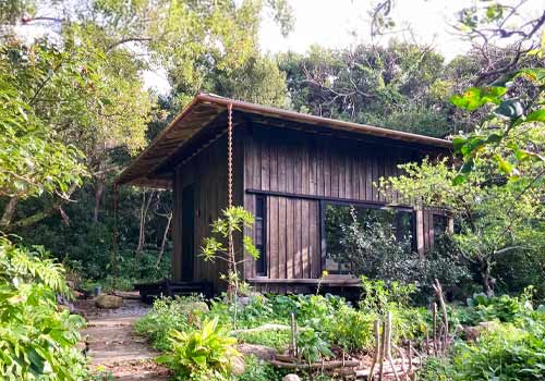 NY Architectural Design Awards Winner - Banyan Retreat: The nest by tono Inc.