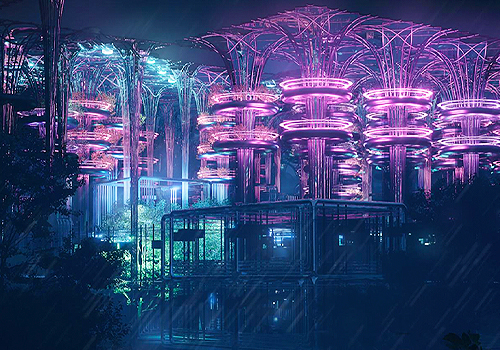NY Architectural Design Awards - Cotton Re-Growth