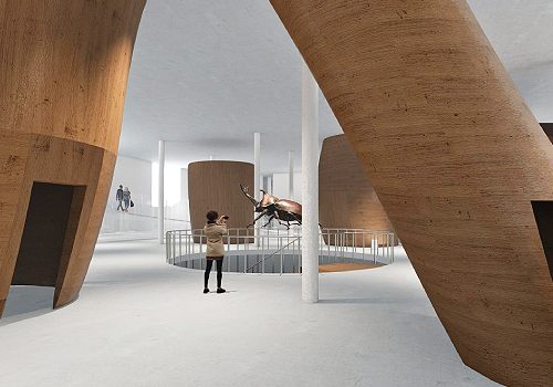 NY Architectural & Interior Design Awards Winner - Insect Museum by Jiang Qiuyu